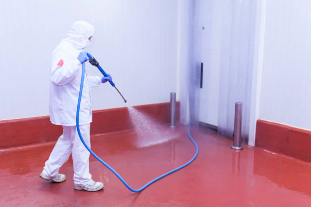 Best Sidewalk and Walkway Pressure Cleaning in Point Pleasant Beach, NJ