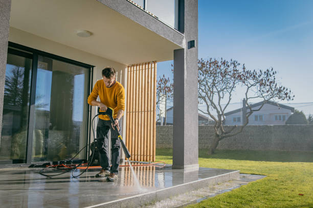 Best Roof Cleaning and Mildew Removal in Point Pleasant Beach, NJ